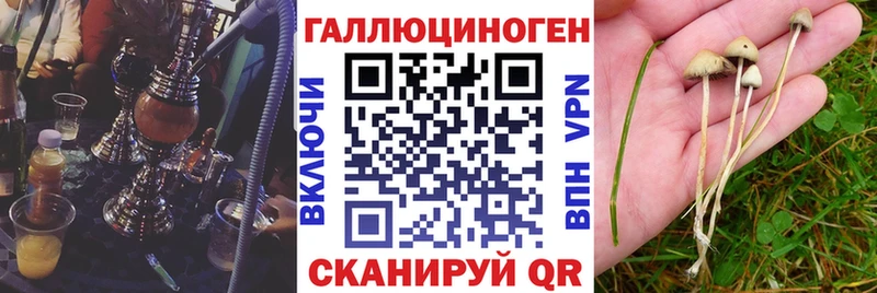 Псилоцибиновые грибы прущие грибы  где найти   Сосновка 